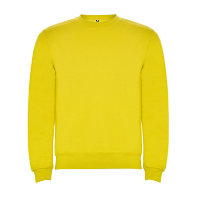 Реглан Clasica 280 ТМ Roly (yellow)